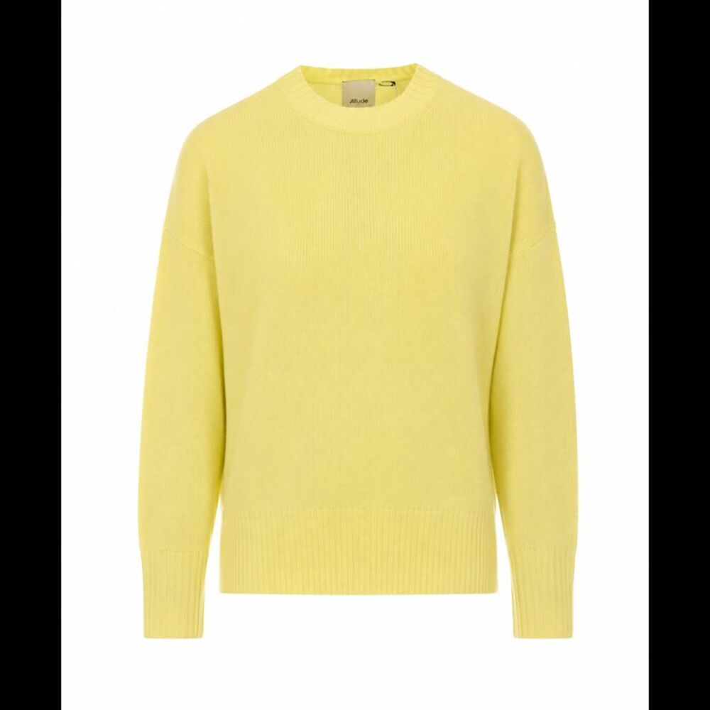 Allude Women Sweater